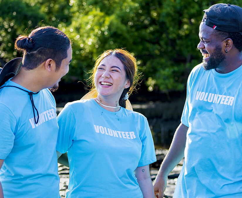 group-of-volunteers group-of-volunteers
